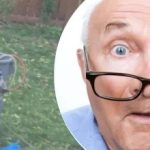 Det märkliga fyndet nära trädet gjorde grannen förbryllad: vilken hemlighet