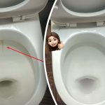 En produkt kommer att göra din toalettskål vitare till en lysande glans: hur man hanterar plack och smuts på 15 minuter En produkt kommer att göra din toalettskål vitare till en